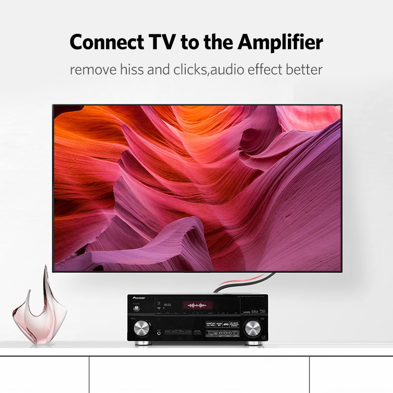UGREEN 2RCA to 2 RCA Male to M - Home Cinema Beamer avis et prix