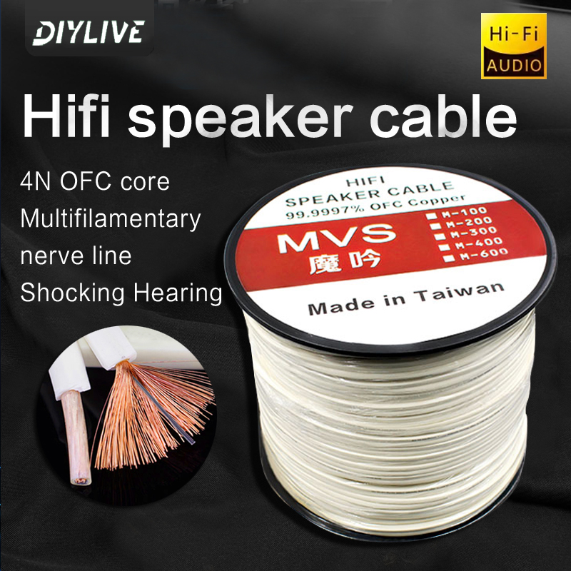 DIYLIVE HiFi Speaker line home - Home Cinema Xlr avis et prix