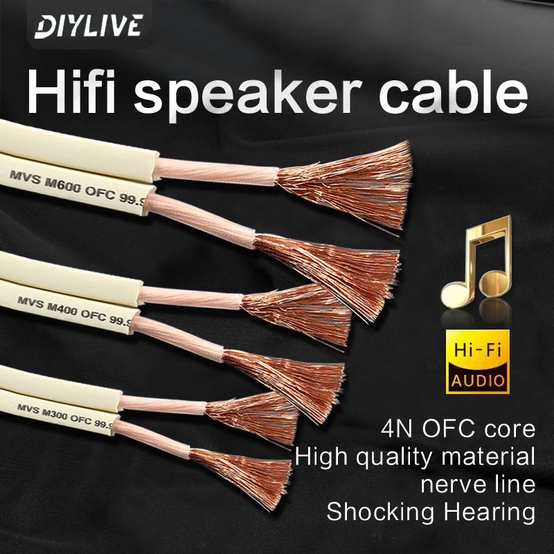 DIYLIVE HiFi Speaker line home - Home Cinema Xlr avis et prix