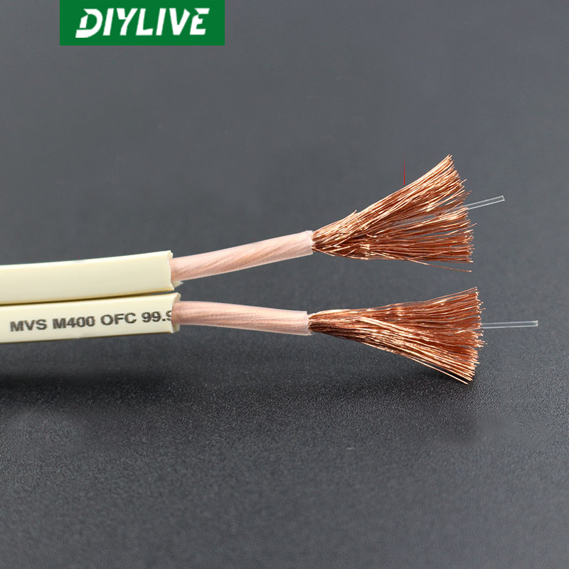DIYLIVE HiFi Speaker line home - Home Cinema Xlr avis et prix