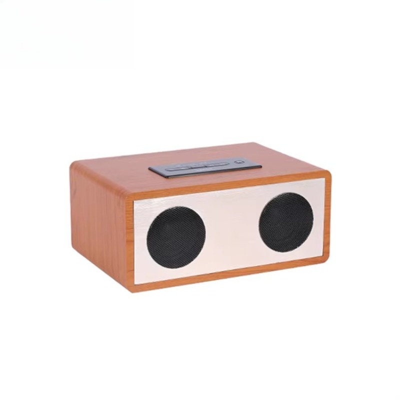 Custom Logo Karaoke Speaker Mu - Home Cinema Xlr avis et prix